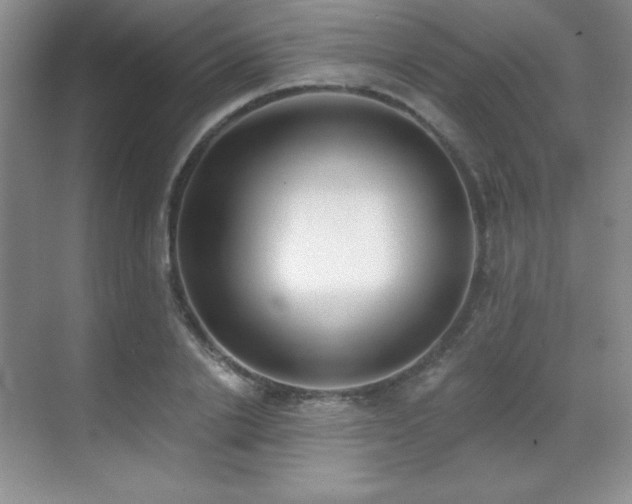 X0000071940838200607071142