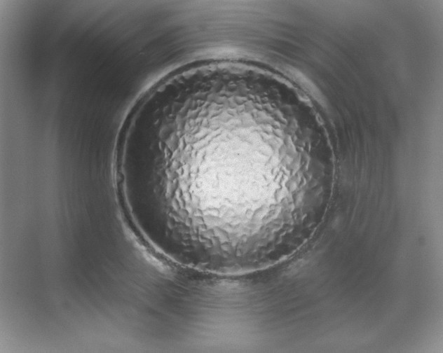 X0000071940839200607071142