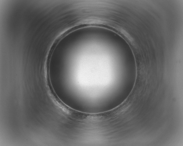 X0000071940840200607071142