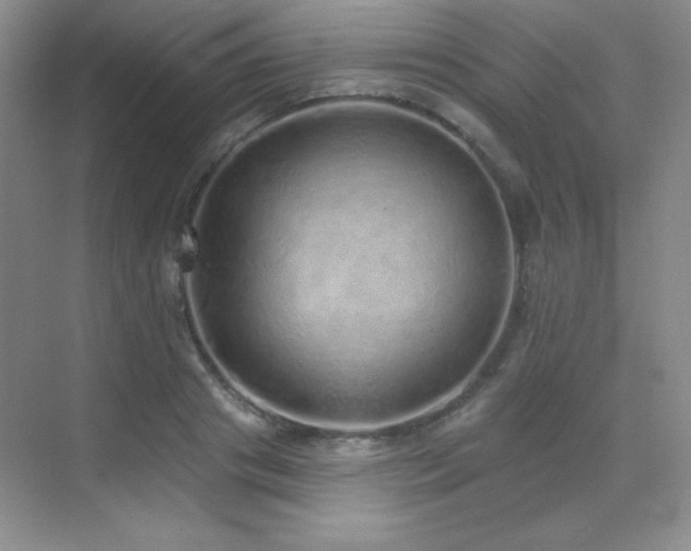 X0000071940841200607071142