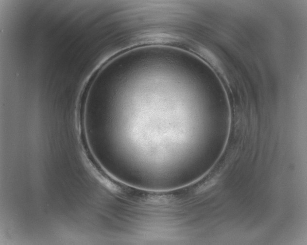 X0000071940843200607071142
