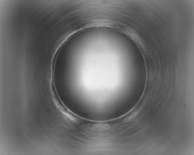 X0000071940844200607071142