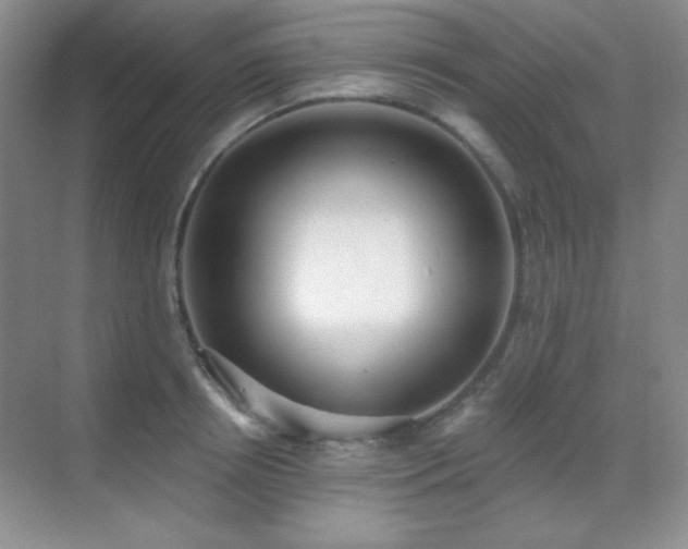 X0000071940850200607071142