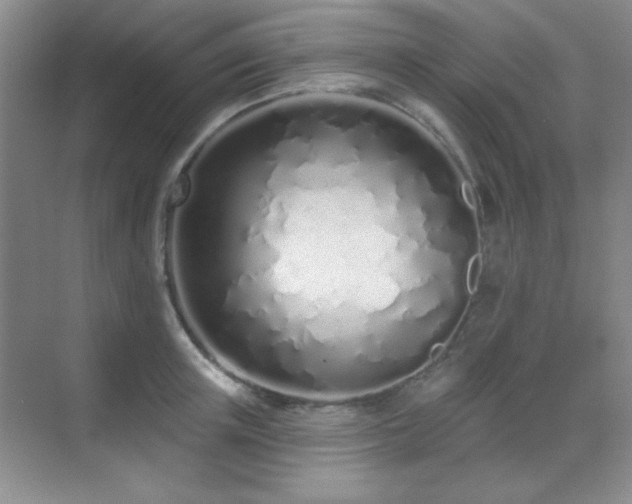 X0000071940851200607071142