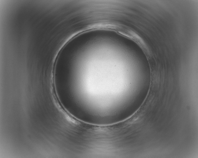 X0000071940852200607071142