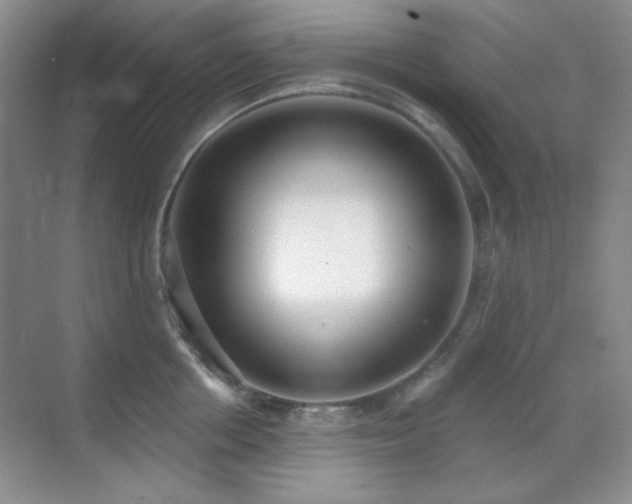 X0000071940858200607071142
