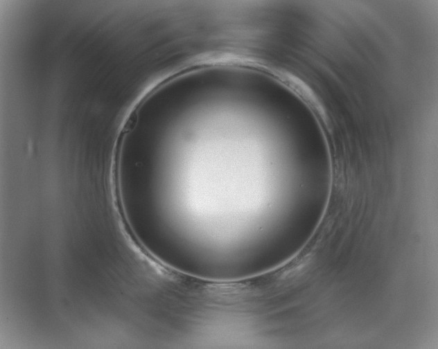 X0000071940863200607071142