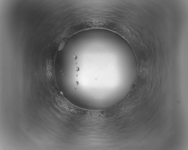 X0000071940866200607071141