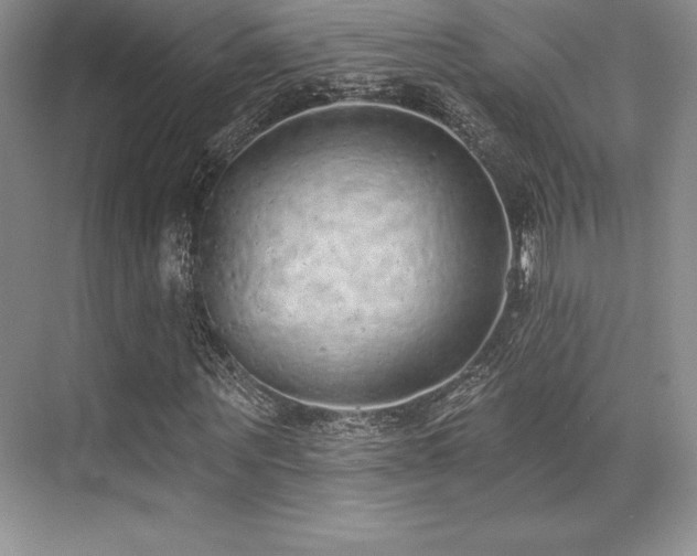 X0000071940867200607071141