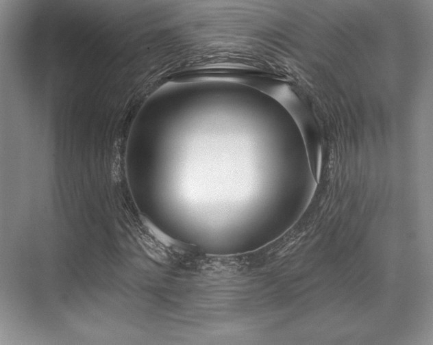 X0000071940868200607071141