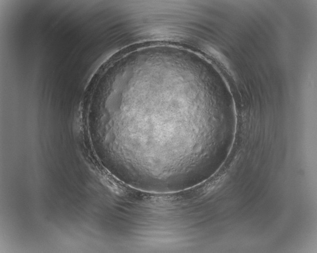 X0000071940875200607071141