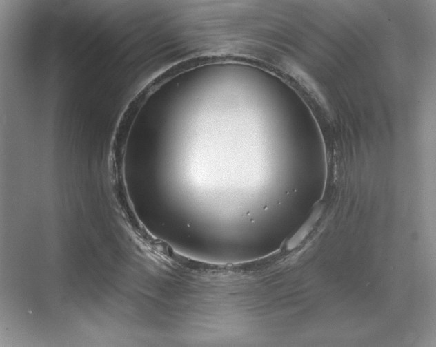 X0000071940876200607071141