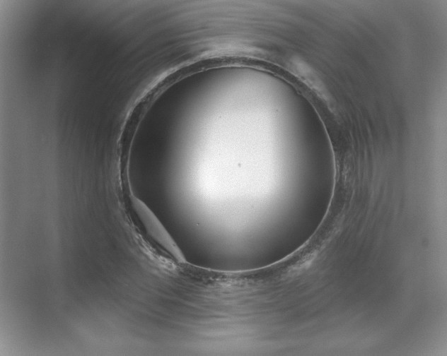 X0000071940877200607071141