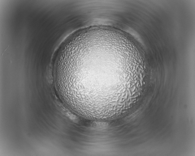 X0000071940878200607071141