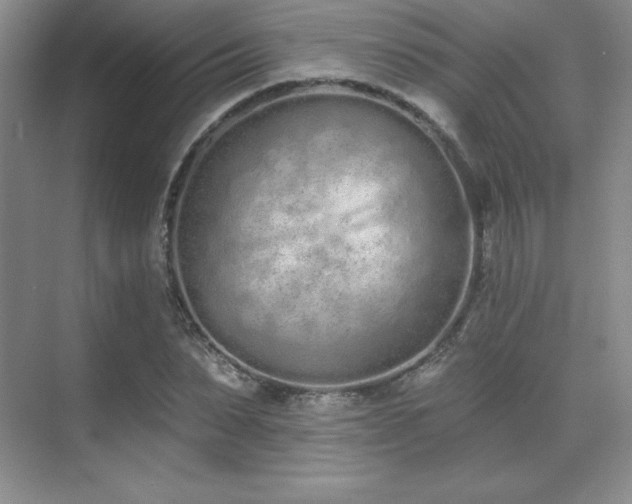 X0000071940879200607071141