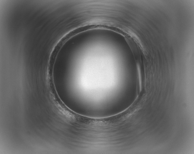 X0000071940880200607071141