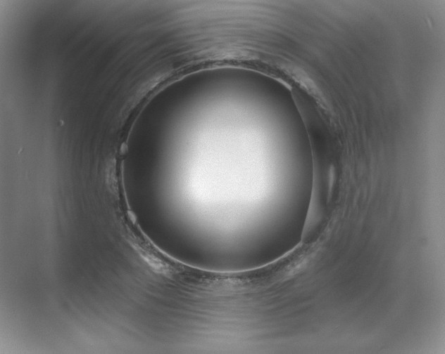 X0000071940881200607071141
