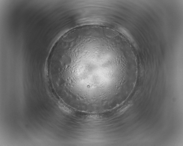 X0000071940883200607071141