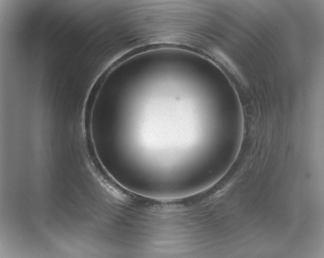 X0000071940884200607071141