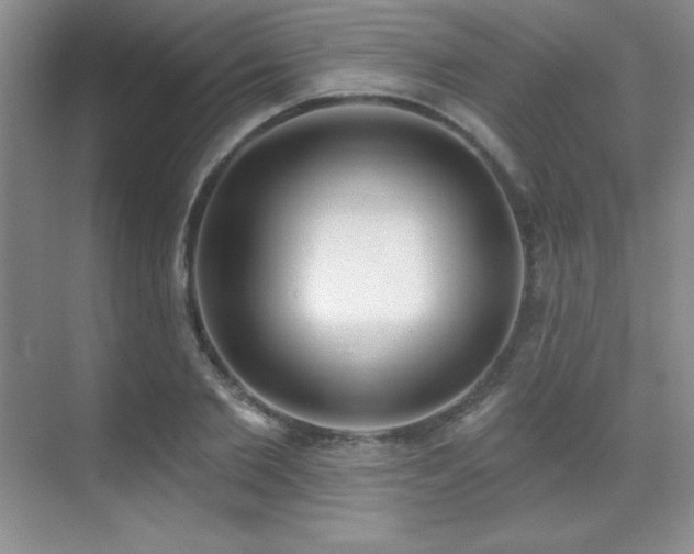 X0000071940885200607071141