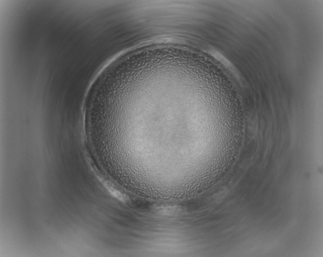 X0000071940886200607071141