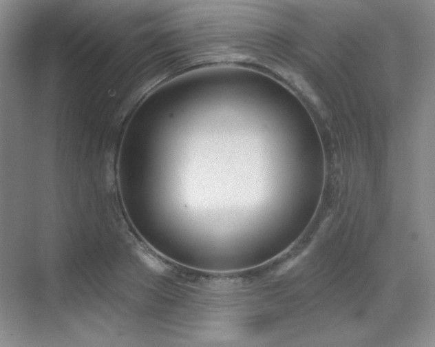 X0000071940889200607071141