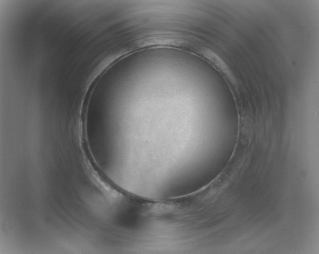 X0000071940890200607071141