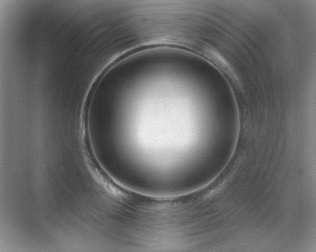 X0000071940892200607071141