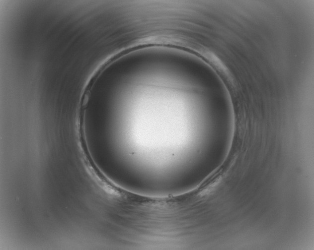 X0000071940896200607071141