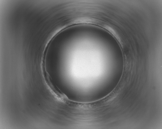 X0000071940901200607071141