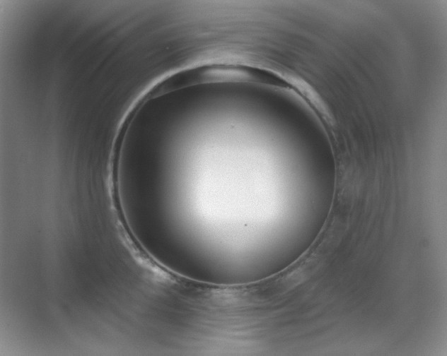 X0000071940904200607071141