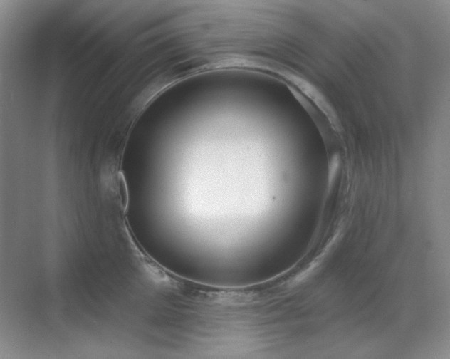 X0000071940905200607071141