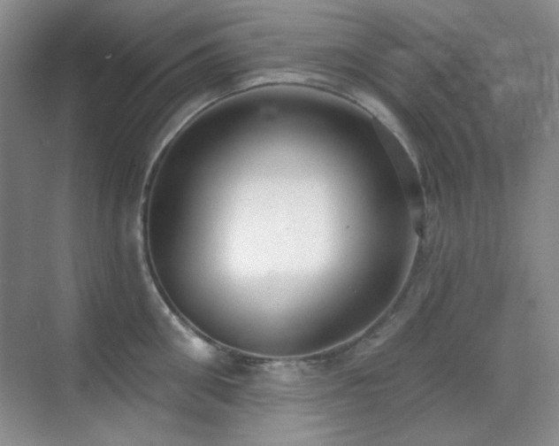 X0000071940906200607071141