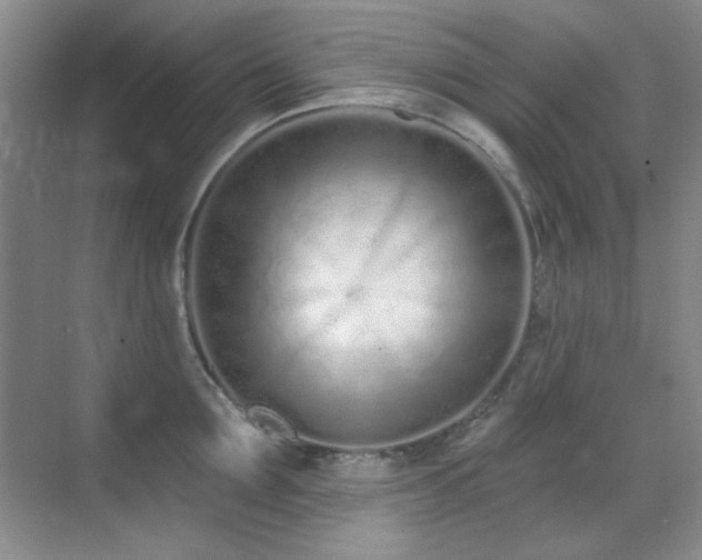 X0000071940907200607071141