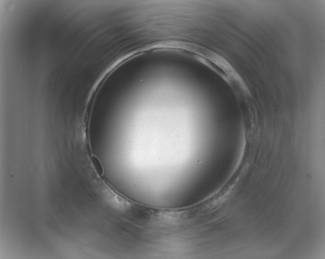 X0000071940908200607071141