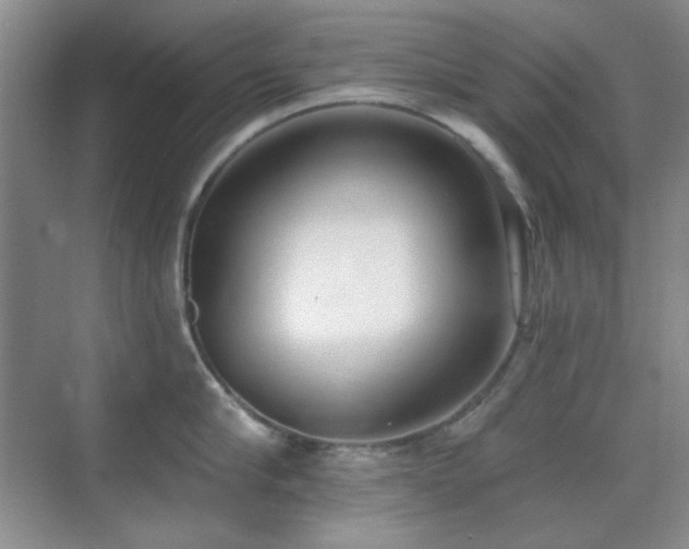 X0000071940910200607071141