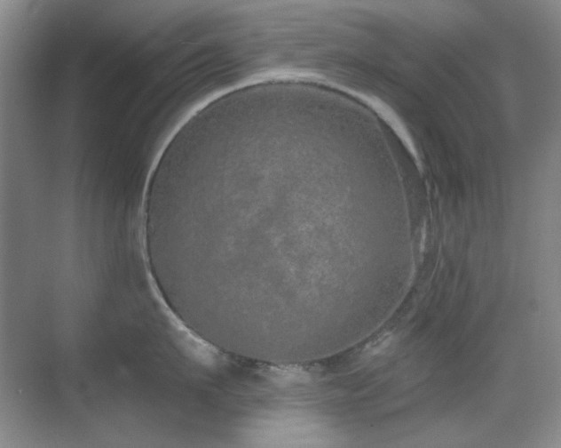 X0000071940911200607071141