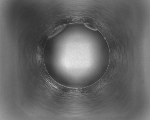 X0000071940914200607071140