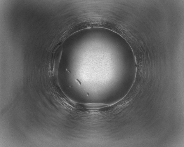 X0000071940916200607071140