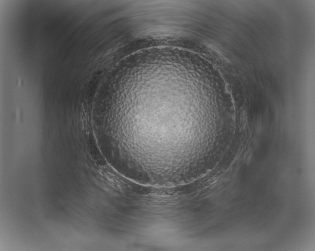 X0000071940917200607071140