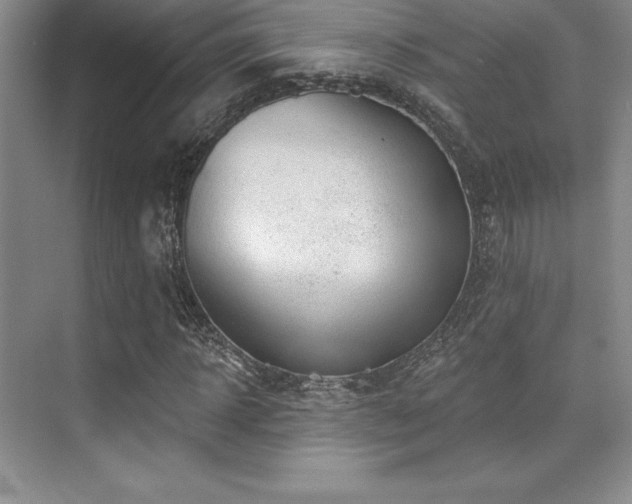 X0000071940918200607071140