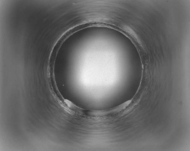 X0000071940924200607071140