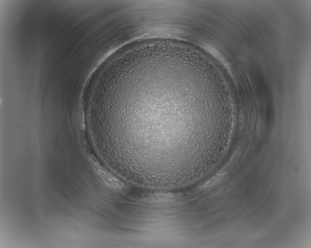 X0000071940925200607071140