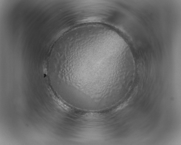 X0000071940929200607071140