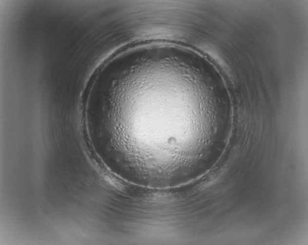 X0000071940933200607071140
