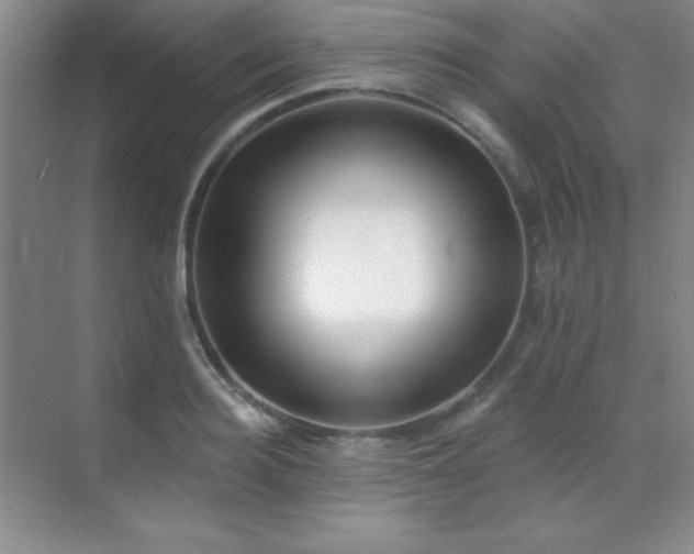 X0000071940940200607071140