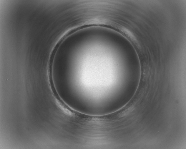 X0000071940942200607071140