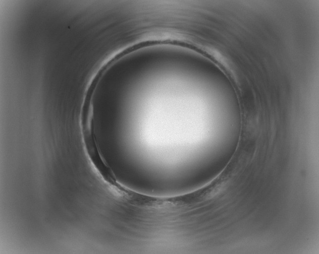 X0000071940943200607071140