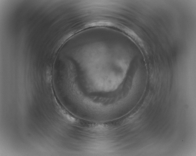 X0000071940945200607071140