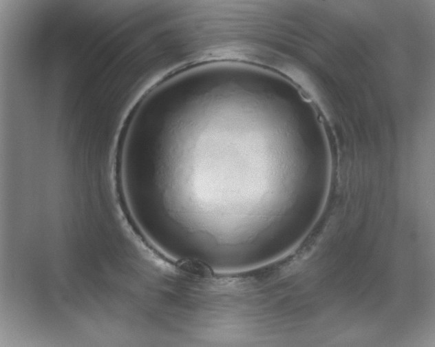 X0000071940949200607071140